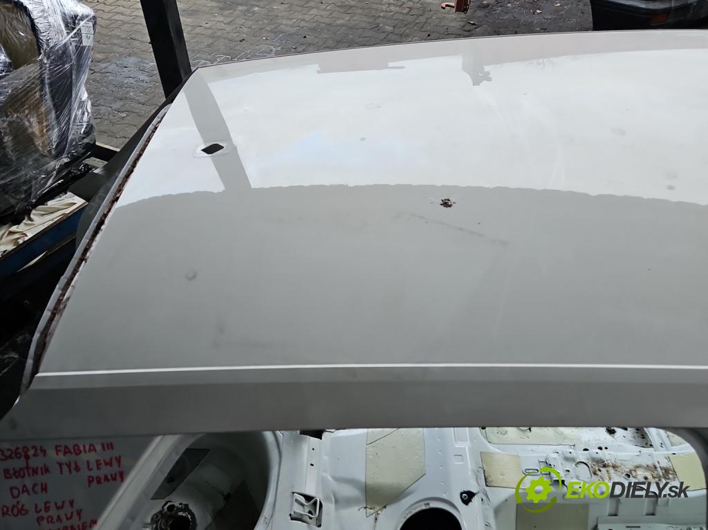 Skoda Fabia III 2014- 1.0 mpi 75 hp manual 55 kW 999 cm3 5- Strecha: