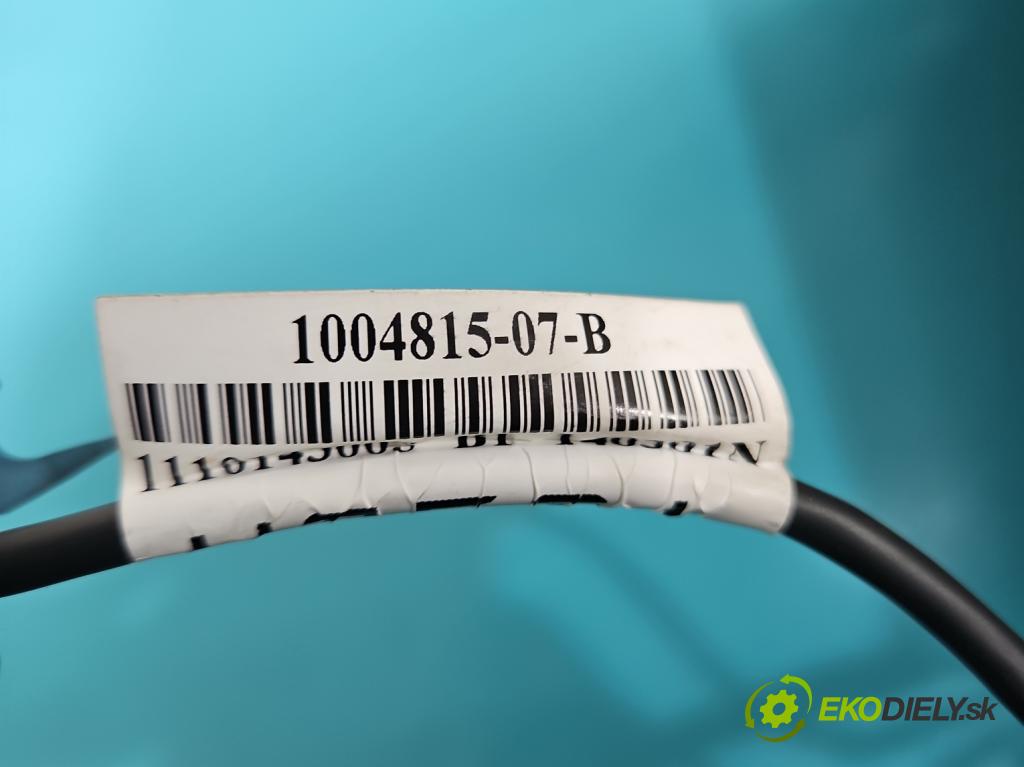 Tesla Model S 0.0b: 367hp automatic 270 kW 5- operadlo 1004815-07-B (Lakťové opierky)