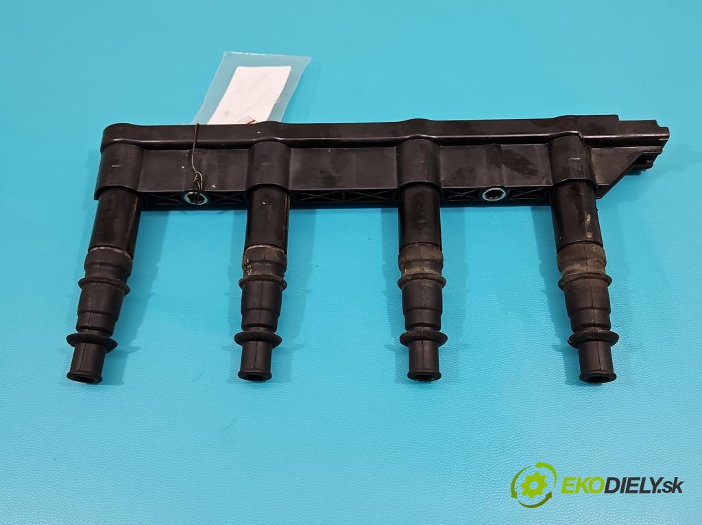 Peugeot 207 1.4 16V 88 HP manual 65 kW 1360 cm3 5- cievka zapaľovacia NGK6021 (Zapaľovacie cievky, moduly)