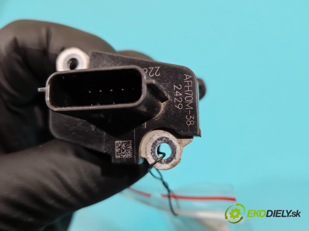 Renault Koleos I 2008-2016 2.0 dci 150 HP manual 110 kW 1995 cm3 5- průtokoměr: AFH70M-38 (Váhy vzduchu)