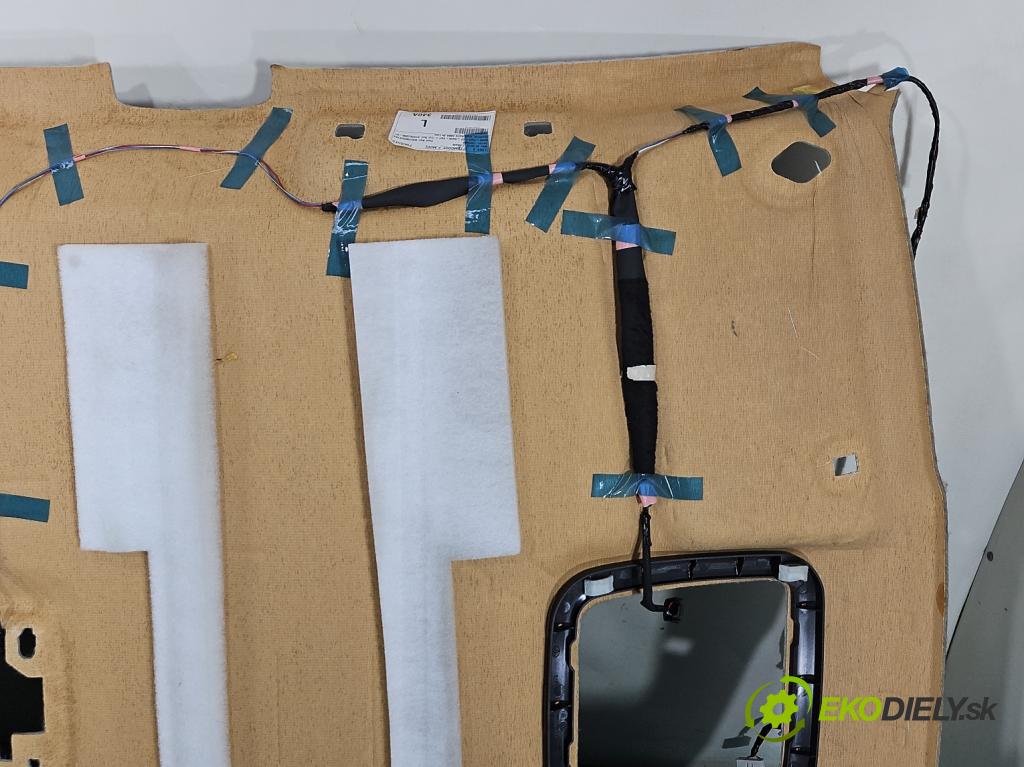 Toyota Auris II 2012-2018 špinavý: