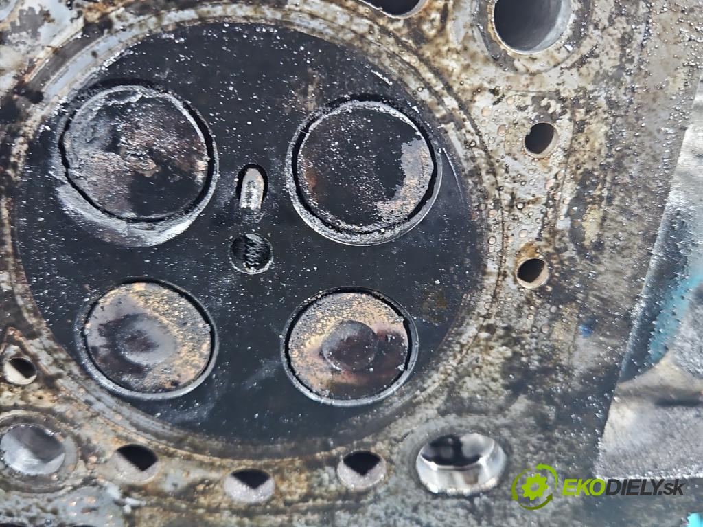 Renault Scenic III 2009-2016 1.6 dci 131 HP manual 96 kW 1598 cm3 5- Hlava: motora 130C07962R