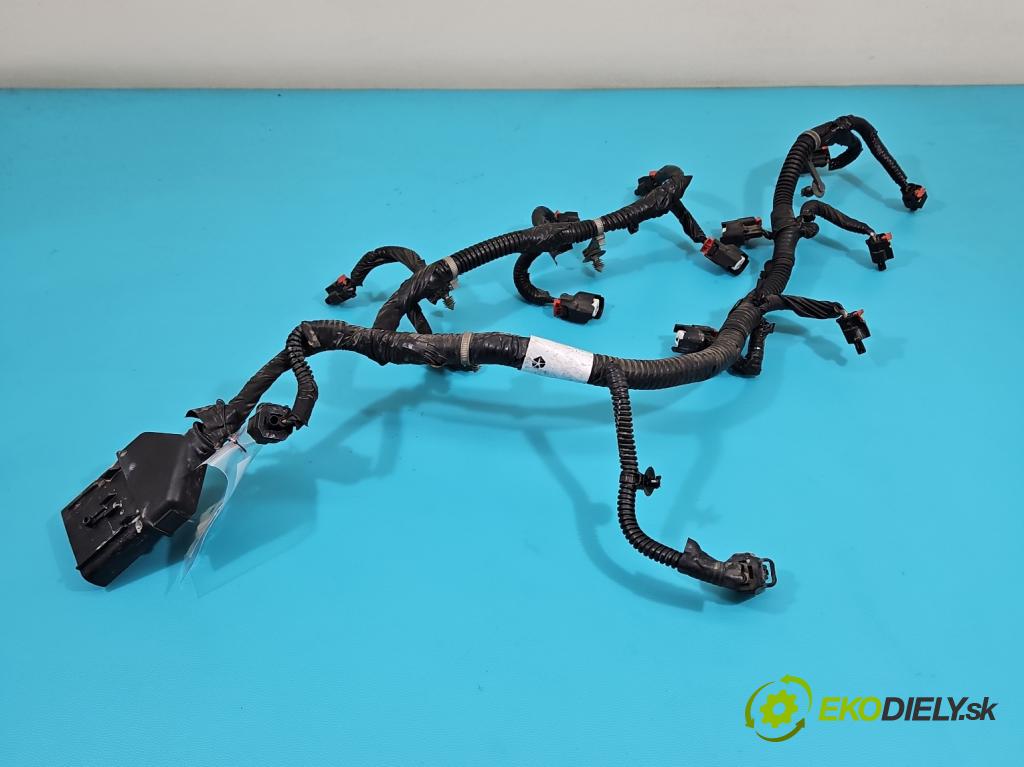 Dodge Caravan V 2007-2020 3.6 V6 automatic 211 kW 3605 cm3 5- Zväzok: vstrekovače 