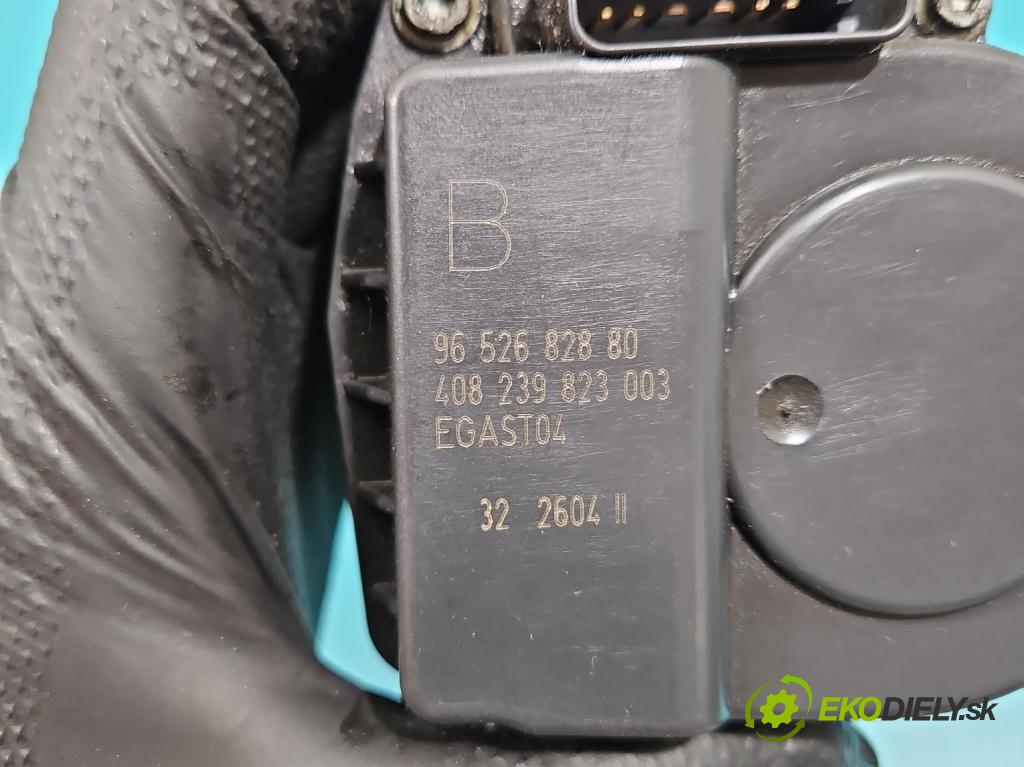 Peugeot 307 2.0 16V 136 HP manual 100 kW 1997 cm3 5- klapka 9652682880 (Škrtiaca klapka)