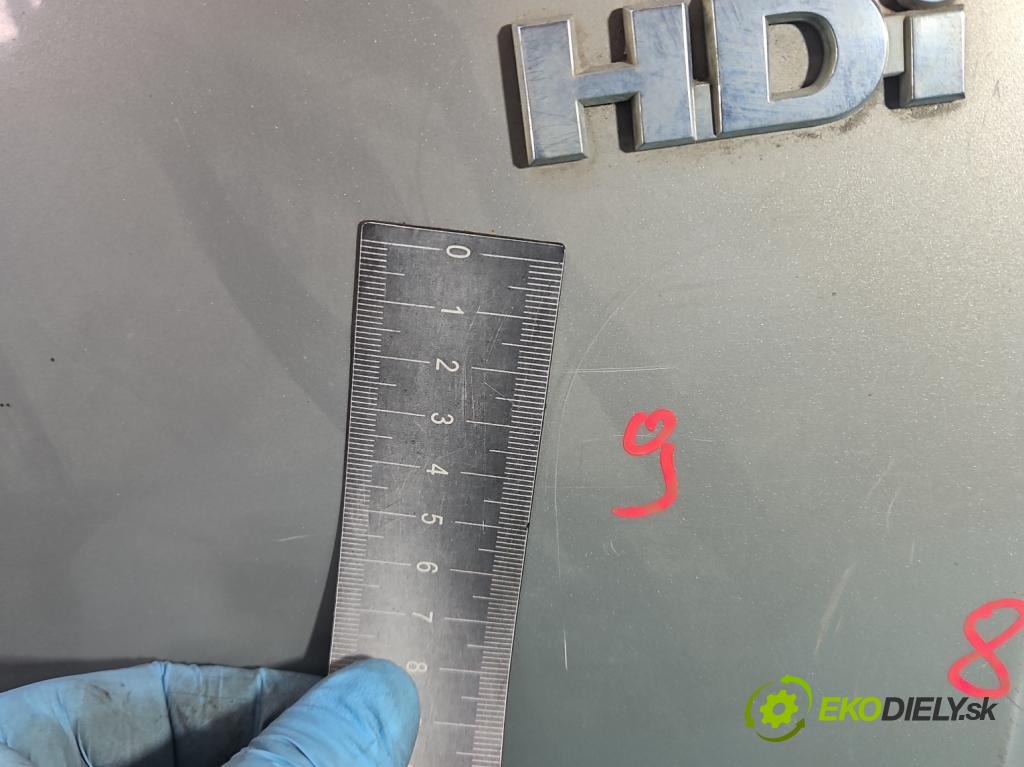 Citroen Berlingo I 1996-2008 2.0 hdi 90 hp manual 66 kW 1997 cm3 5- zadní kufrové dveře  (Zadní kapoty)