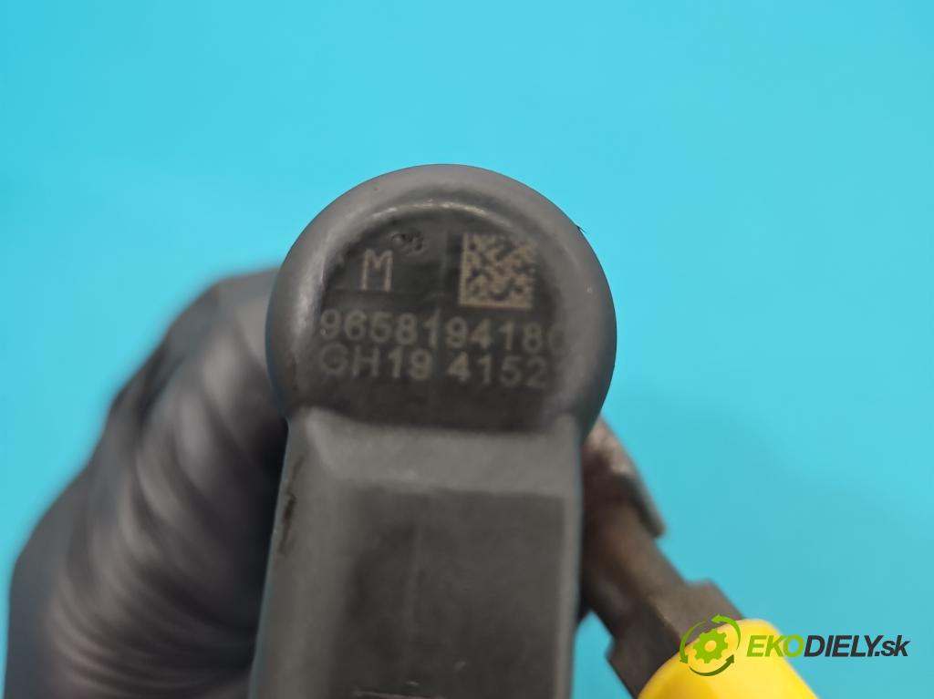 Citroen C4 Picasso I 2006-2013 2.0 hdi 136 HP automatic 100 kW 1997 cm3 5- vstrek 9658194180 (Vstrekovač paliva)