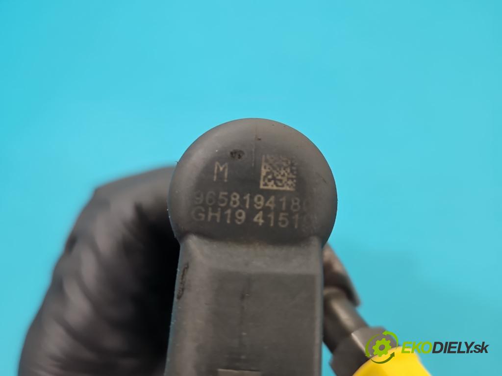 Citroen C4 Picasso I 2006-2013 2.0 hdi 136 HP automatic 100 kW 1997 cm3 5- vstrek 9658194180 (Vstrekovač paliva)