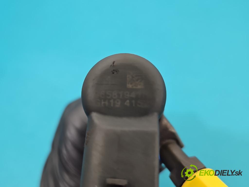 Citroen C4 Picasso I 2006-2013 2.0 hdi 136 HP automatic 100 kW 1997 cm3 5- vstrek 9658194180 (Vstrekovač paliva)