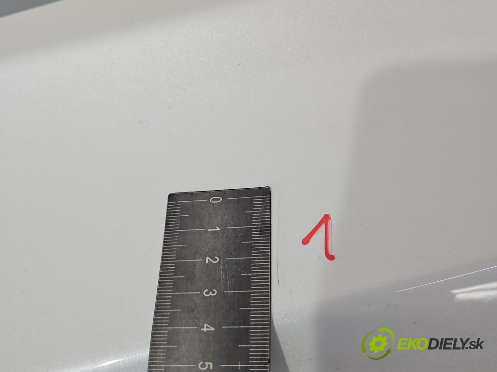 Tesla Model 3 2017- 0.0b: automatic 377 kW  4- blatnik přední levý  (Levý přední blatník)
