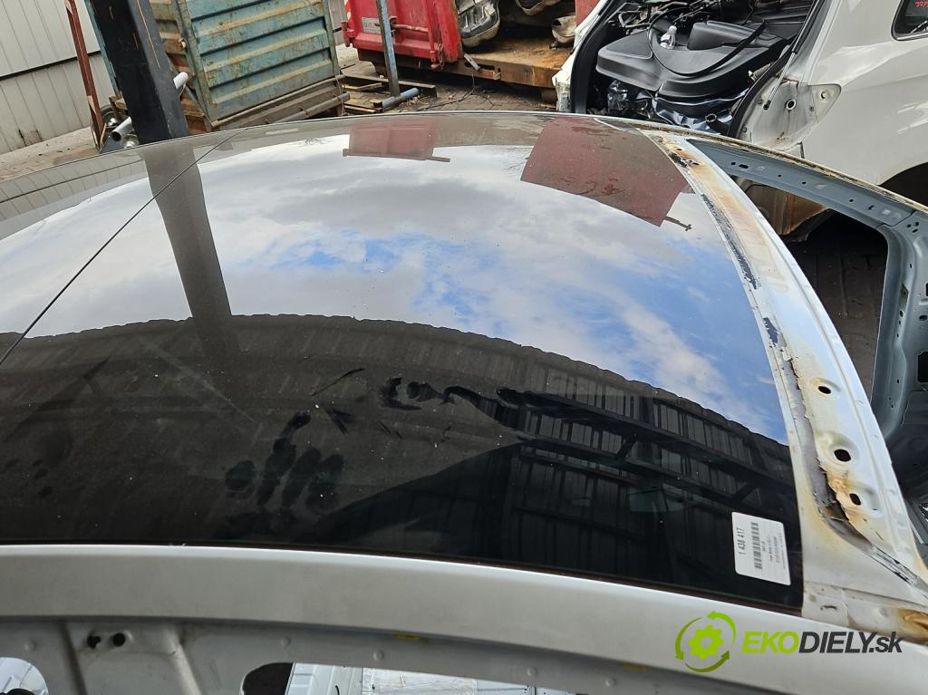 Tesla Model 3 2017- 0.0b: automatic 377 kW 4- Strecha: