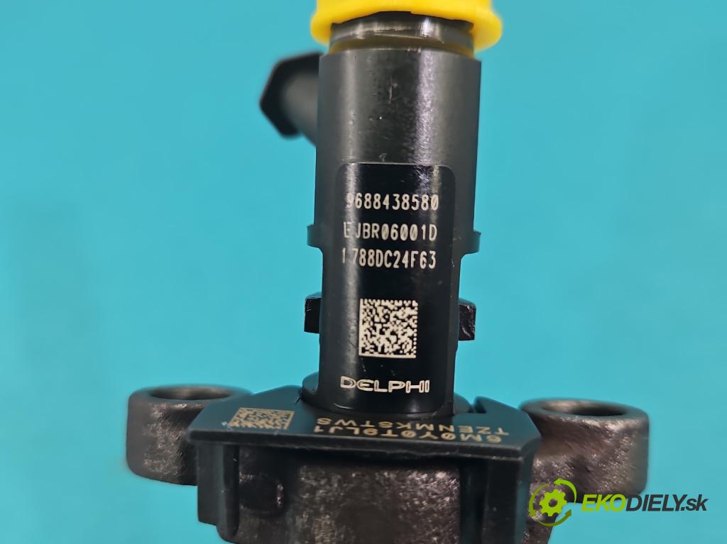 Citroen C5 II 2008-2017 2.0 hdi 136 HP automatic 100 kW 1997 cm3 5- vstrek EJBR06001D (Vstrekovač paliva)