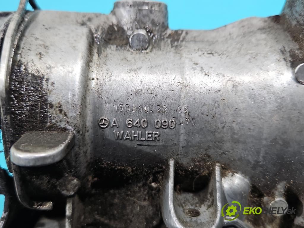 Mercedes B W245 2005-2011 2.0 cdi 140 HP manual 103 kW 1991 cm3 5- klapka A6400902070 (Škrtiaca klapka)