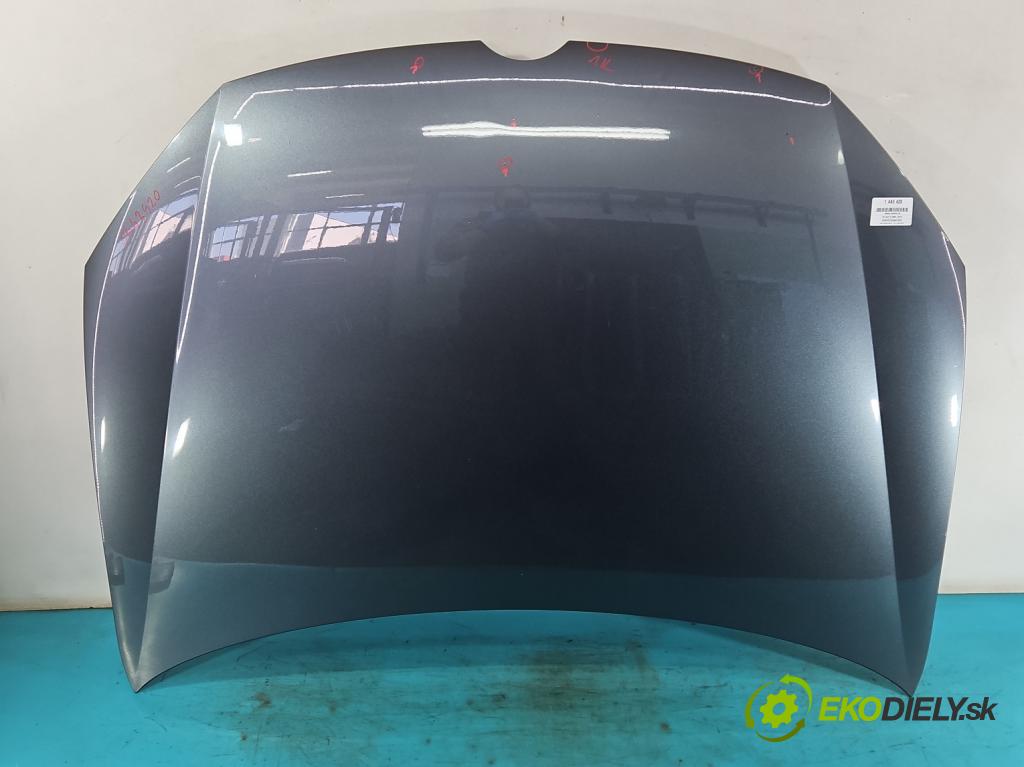 Vw Golf VI 2008-2013 1.6 tdi 105 HP manual 77 kW 1598 cm3 5- kapota predná