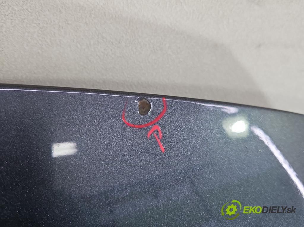 Vw Golf VI 2008-2013 1.6 tdi 105 HP manual 77 kW 1598 cm3 5- kapota predná
