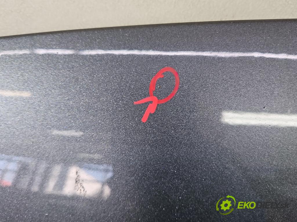 Vw Golf VI 2008-2013 1.6 tdi 105 HP manual 77 kW 1598 cm3 5- kapota predná