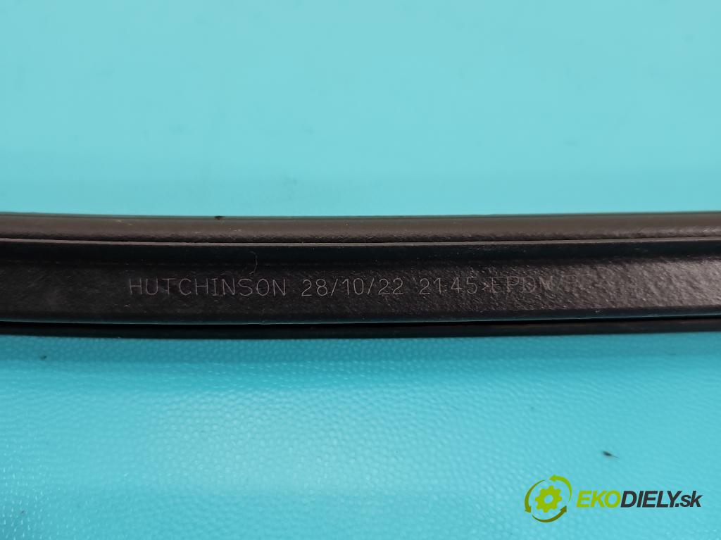 Dacia Sandero III 2020- 1.0 SCe 91KM manual 67 kW 999 cm3 5- Těsnění: dveře zadní levé  (Ostatní)