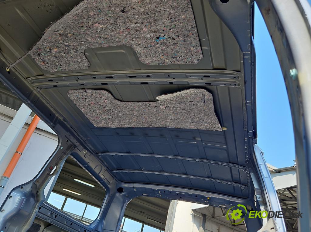 Hyundai H1 II 2007-2023 2.5 crdi (D4CB): 163 hp manual 120 kW 2497 cm3 3- Strecha: