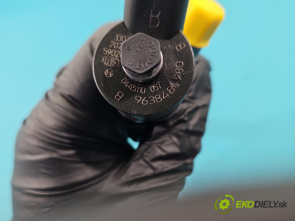 Peugeot 807 2002-2014 2.0 hdi 109 HP manual 80 kW 1997 cm3 5- vstrek 0445110057 (Vstrekovač paliva)