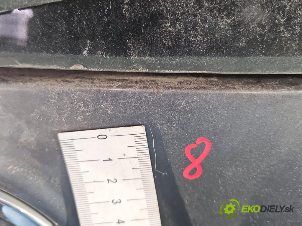 Vw Golf plus 1.6 SR 102 hp manual 75 kW 1595 cm3 5- zadní kufrové dveře  (Zadní kapoty)