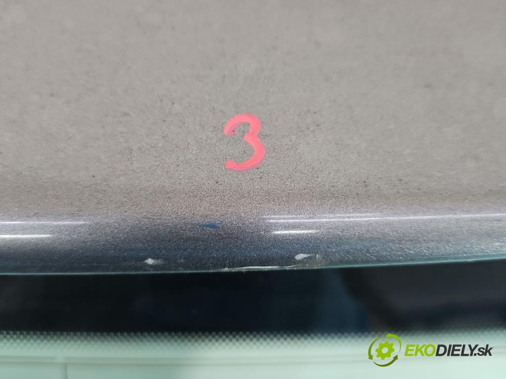 Vw Golf plus 1.6 SR 102 hp manual 75 kW 1595 cm3 5- zadní kufrové dveře  (Zadní kapoty)