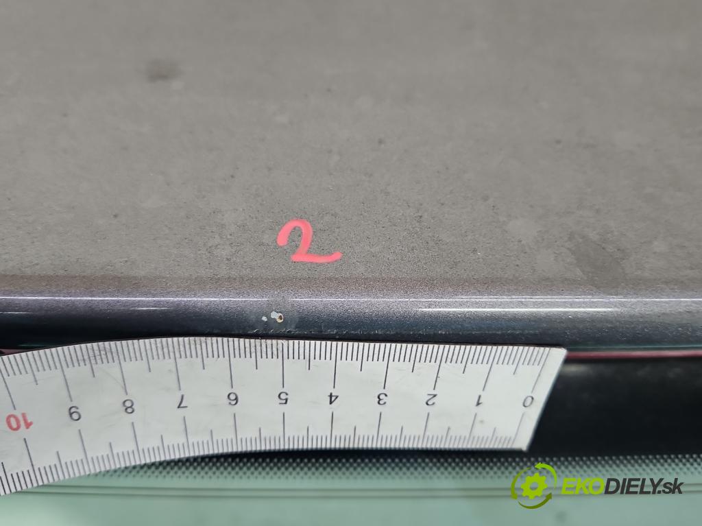 Vw Golf plus 1.6 SR 102 hp manual 75 kW 1595 cm3 5- zadní kufrové dveře  (Zadní kapoty)