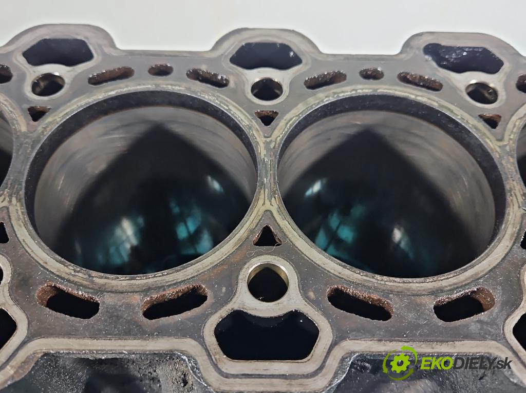 Bmw 5 E60 2003-2010 2.5d 177 HP automatic 130 kW 2497 cm3 4- Blok motora M57 (Blok motora)