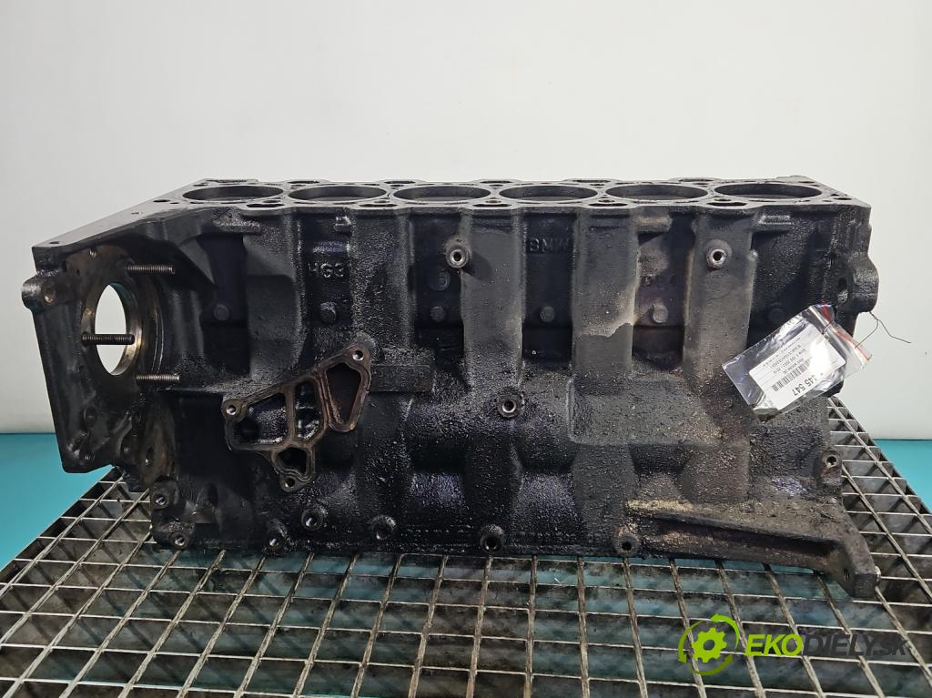 Bmw 5 E60 2003-2010 2.5d 177 HP automatic 130 kW 2497 cm3 4- Blok motora M57 (Blok motora)
