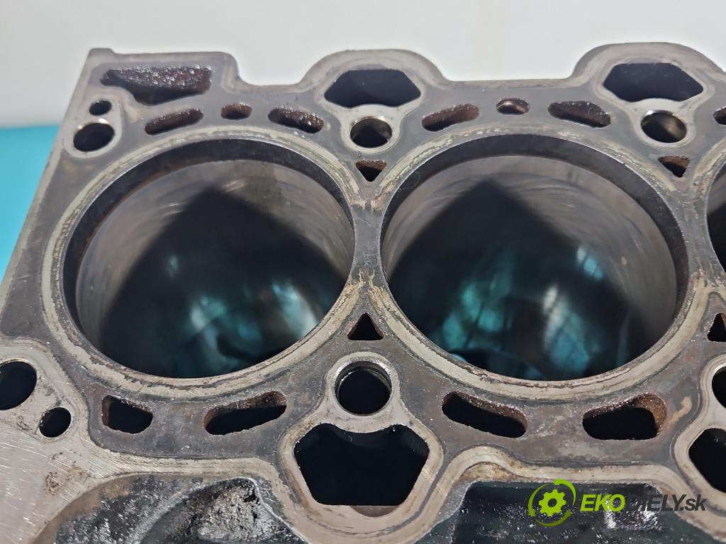 Bmw 5 E60 2003-2010 2.5d 177 HP automatic 130 kW 2497 cm3 4- Blok motora M57 (Blok motora)