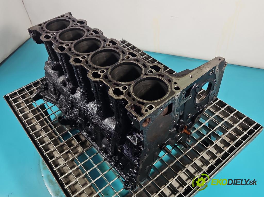 Bmw 5 E60 2003-2010 2.5d 177 HP automatic 130 kW 2497 cm3 4- Blok motora M57 (Blok motora)