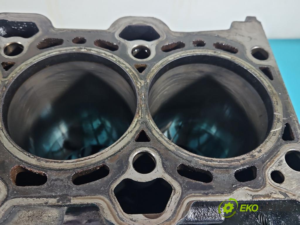 Bmw 5 E60 2003-2010 2.5d 177 HP automatic 130 kW 2497 cm3 4- Blok motora M57 (Blok motora)