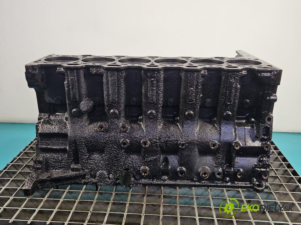 Bmw 5 E60 2003-2010 2.5d 177 HP automatic 130 kW 2497 cm3 4- Blok motora M57 (Blok motora)