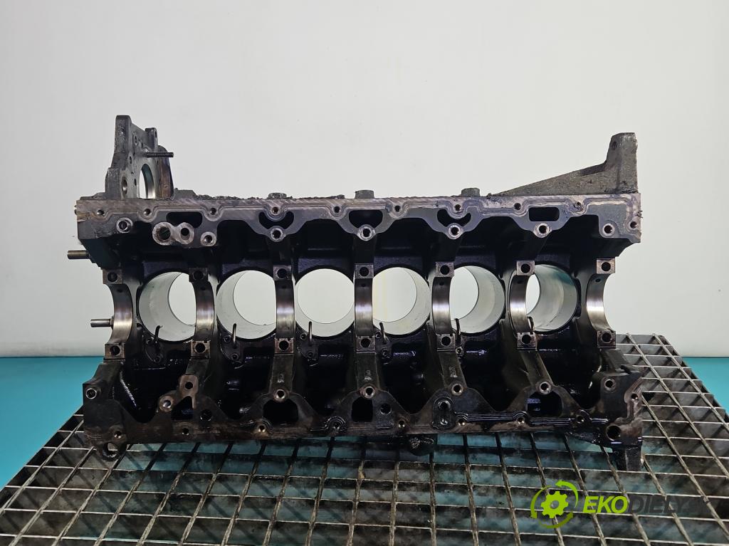Bmw 5 E60 2003-2010 2.5d 177 HP automatic 130 kW 2497 cm3 4- Blok motora M57 (Blok motora)