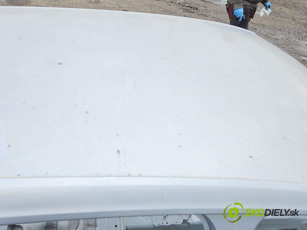 Vw Golf VII 2012-2020 1.6 tdi 110 hp manual 81 kW 1598 cm3 5- Strecha: