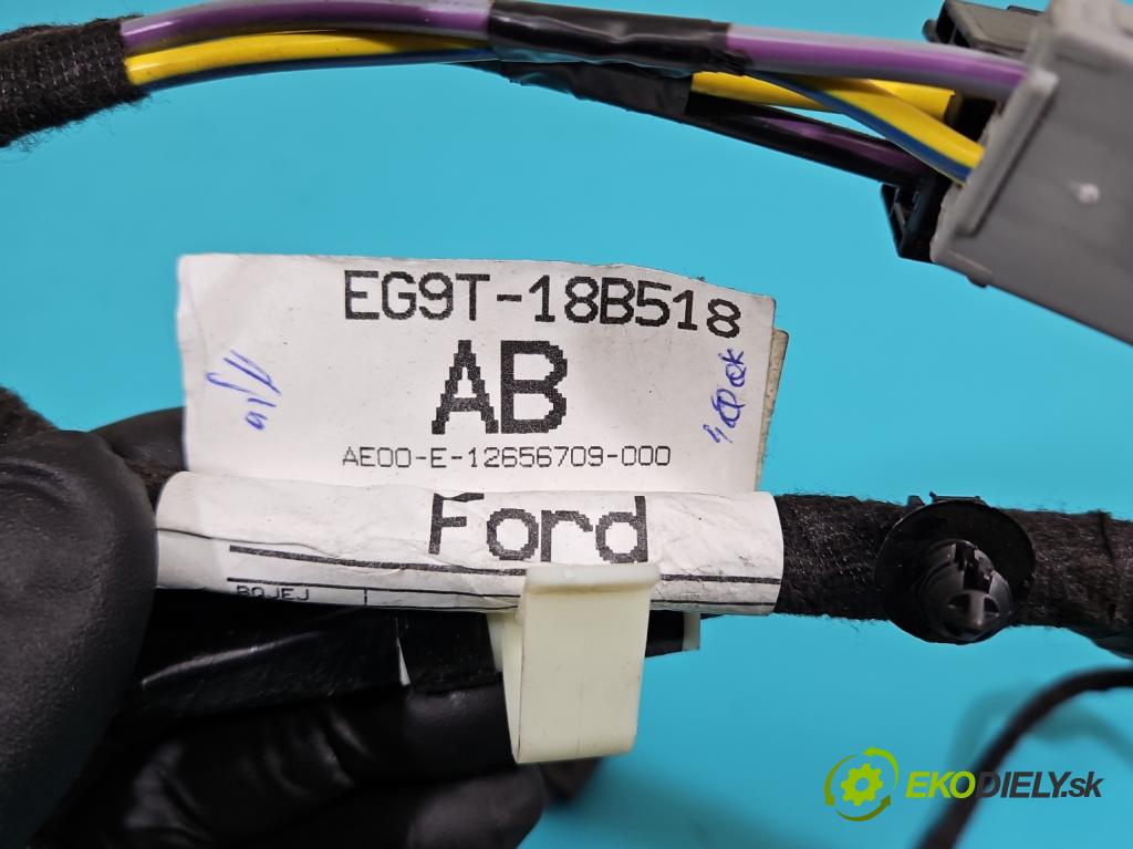 Ford Mondeo Mk5 2014-2022 2.0 tdci 179KM automatic 132 kW 1999 cm3 5- Zväzok: ostatné EG9T-18B518-AD