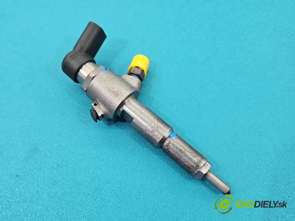 Peugeot 1007 1.4 hdi 68 HP manual 50 kW 1398 cm3 3- vstrek 9655304880 (Vstrekovač paliva)