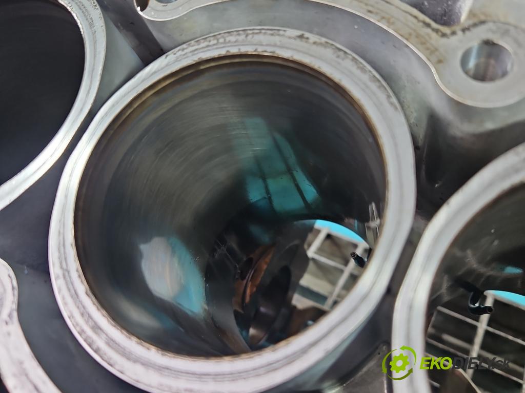 Nissan Juke I 2010-2019 1.2 T 116 HP manual 85 kW 1197 cm3 5- Blok motora HRA2 (Blok motora)