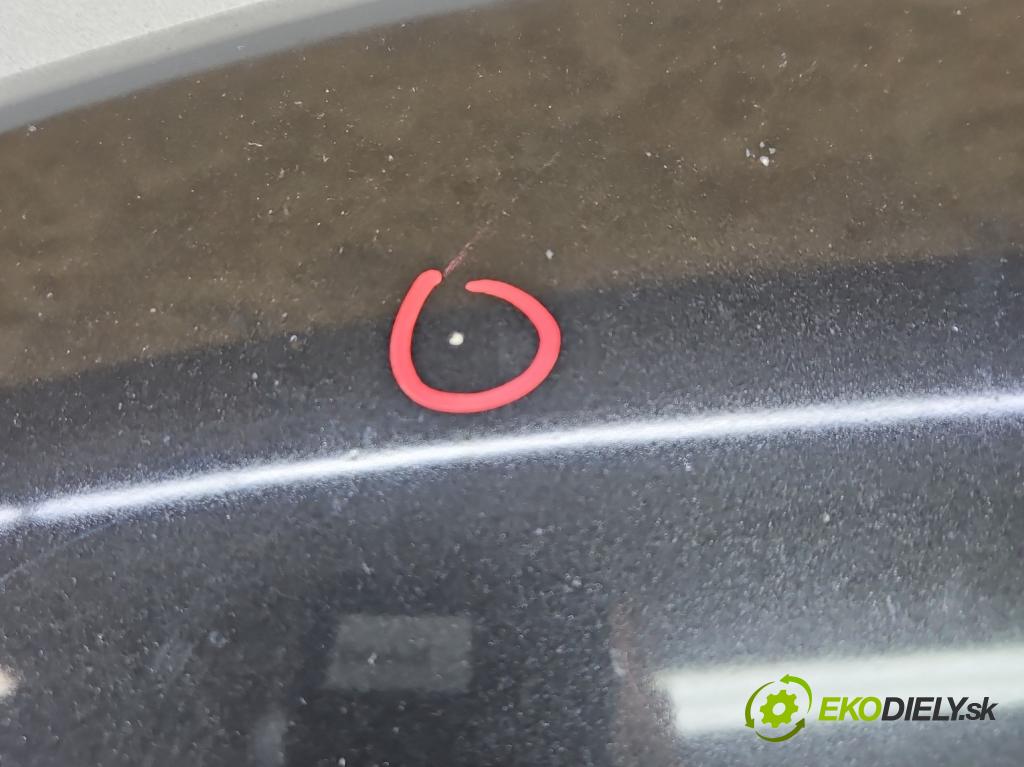Renault Laguna III 2007-2015 2.0 dci 150 HP manual 110 kW 1995 cm3 2- kapota predná
