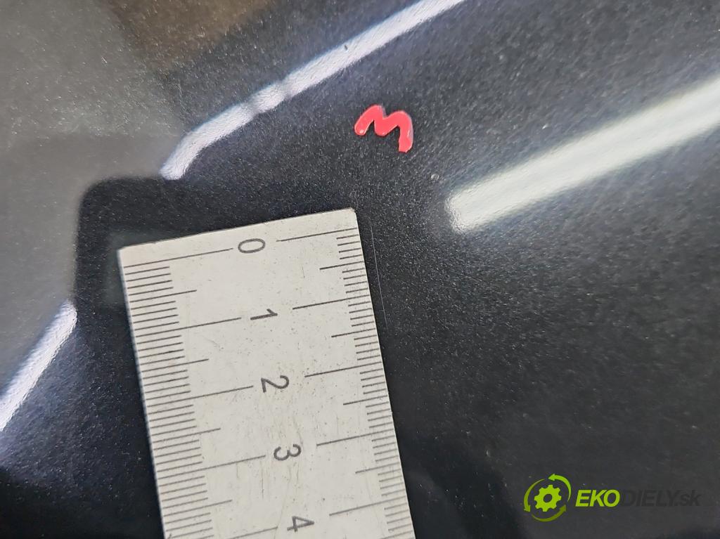 Renault Laguna III 2007-2015 2.0 dci 150 hp manual 110 kW 1995 cm3 2- blatnik přední levý  (Levý přední blatník)