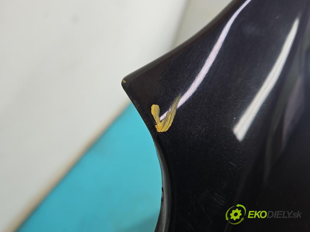 Renault Laguna III 2007-2015 2.0 dci 150 hp manual 110 kW 1995 cm3 2- blatnik přední levý  (Levý přední blatník)