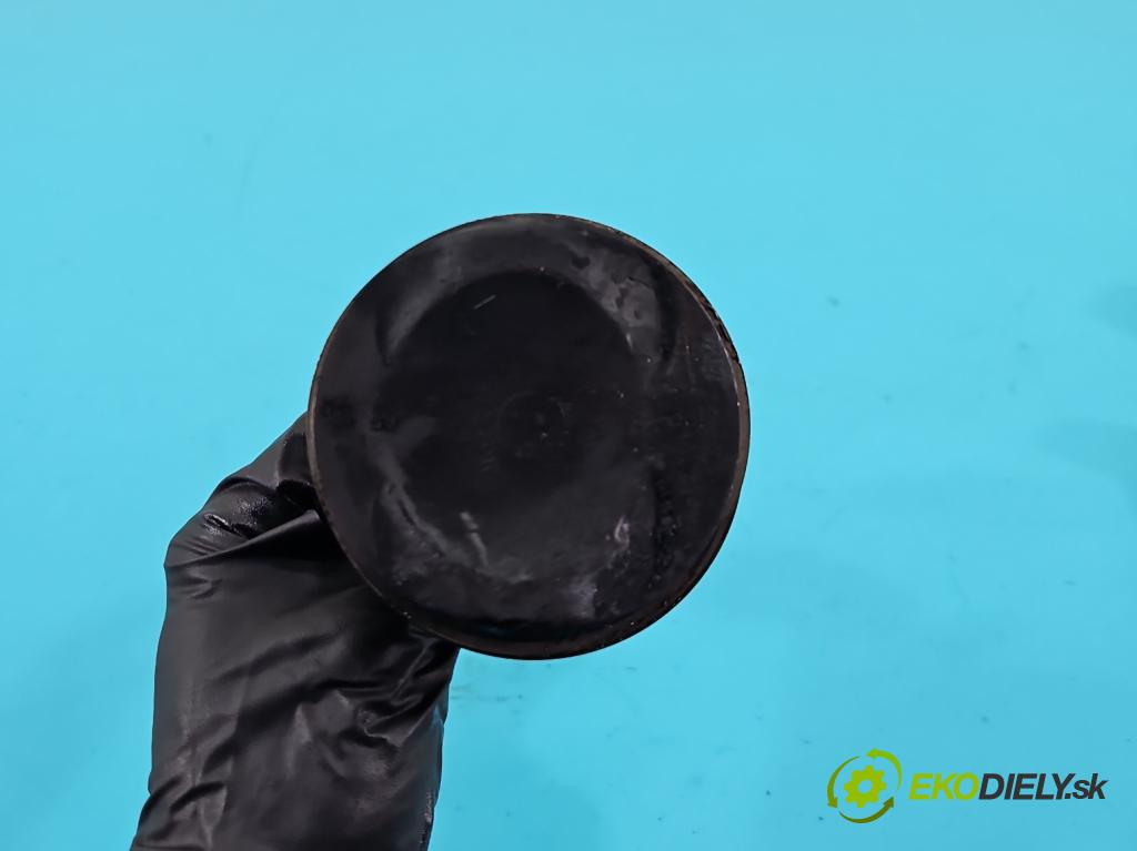 Audi Q7 2005-2015 4.2 V8 FSI automatic 257 kW 4163 cm3 5- piest BAR (Piest)