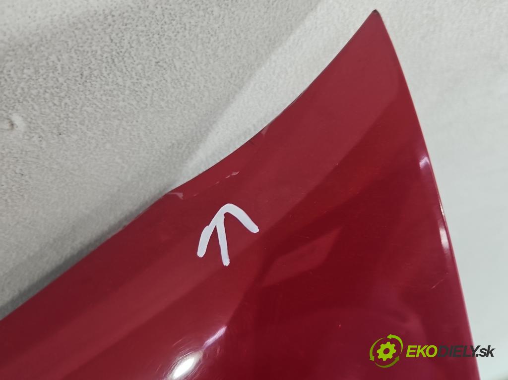 Renault Thalia I 1998-2009 1.4 8V 75 hp manual 55 kW 1390 cm3 4- blatnik přední levý  (Levý přední blatník)