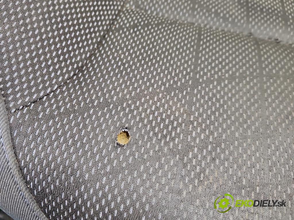 Peugeot Partner II 2008-2018 1.6 hdi 90 HP manual 66,2 kW 1560 cm3 5- Sedačka ľavý  (Sedadlo)