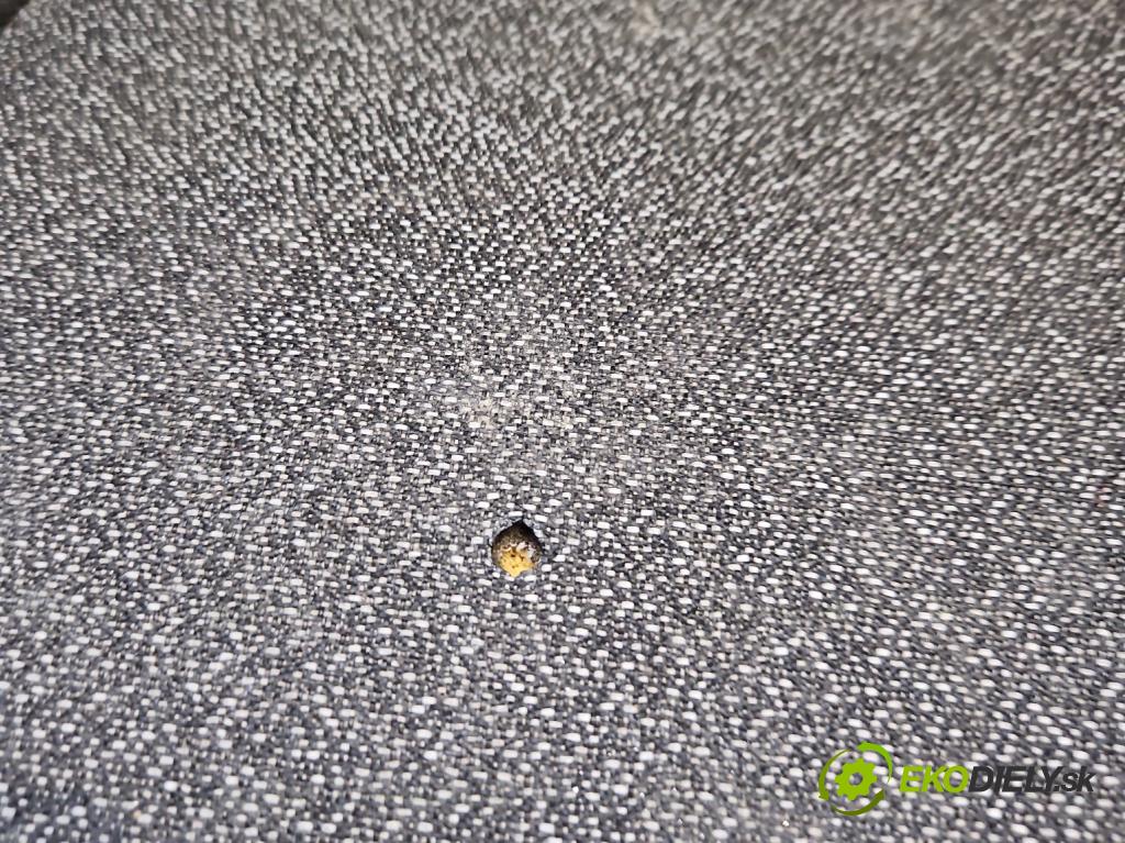 Fiat Ducato IV 2014- 2.3 jtd 177 HP manual 130 kW 2287 cm3 5- Sedačka pravý  (Sedadlo)