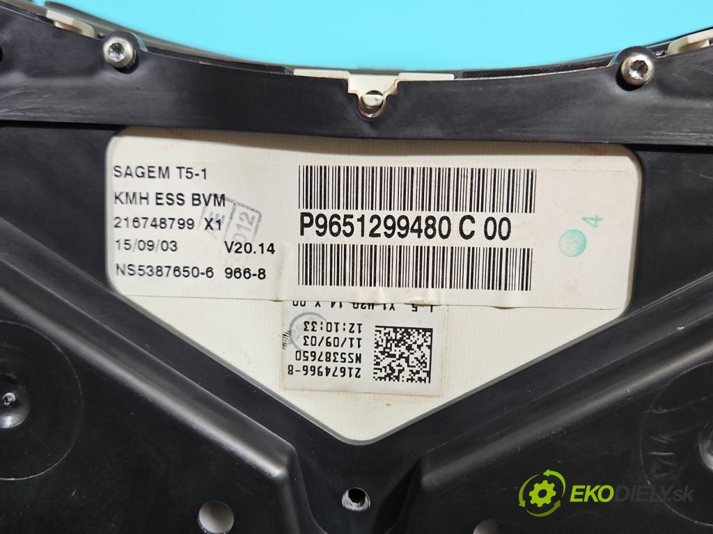 Peugeot 307 2.0 16V 135 HP manual 99 kW 1997 cm3 5- prístrojovka/ budíky  (Prístrojová doska)