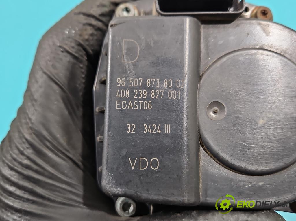 Peugeot 307 2.0 16V 140 HP manual 103 kW 1997 cm3 5- klapka 9650787380 (Škrtiaca klapka)
