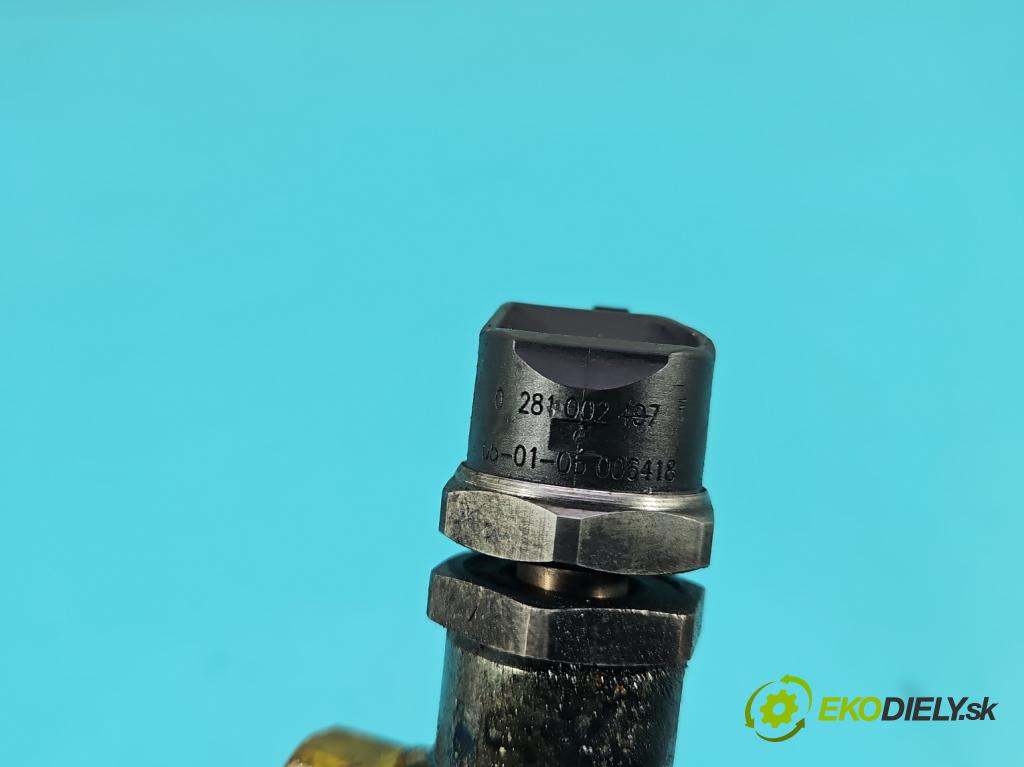 Bmw 3 E46 1998-2007 2.0d 150 HP automatic 110 kW 1995 cm3 5- lišta vstrekovacia 0445214030 (Vstrekovacia lišta)