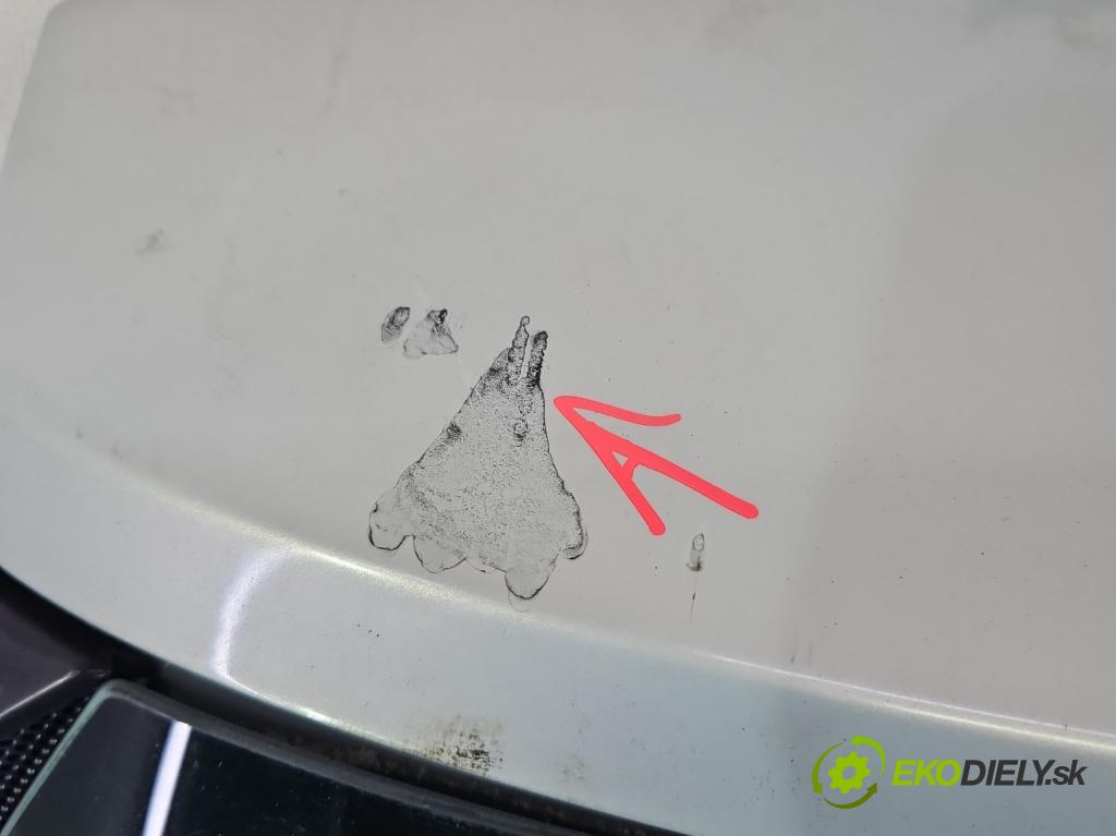 Renault Scenic II 2003-2009 1.6 16V 113 hp manual 83 kW 1598 cm3 5- zadní kufrové dveře  (Zadní kapota (kufr))