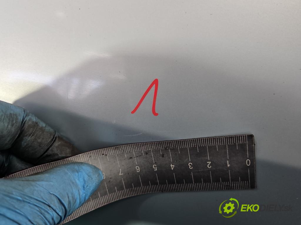 Renault Scenic II 2003-2009 1.6 16V 113 hp manual 83 kW 1598 cm3 5- zadní kufrové dveře  (Zadní kapota (kufr))