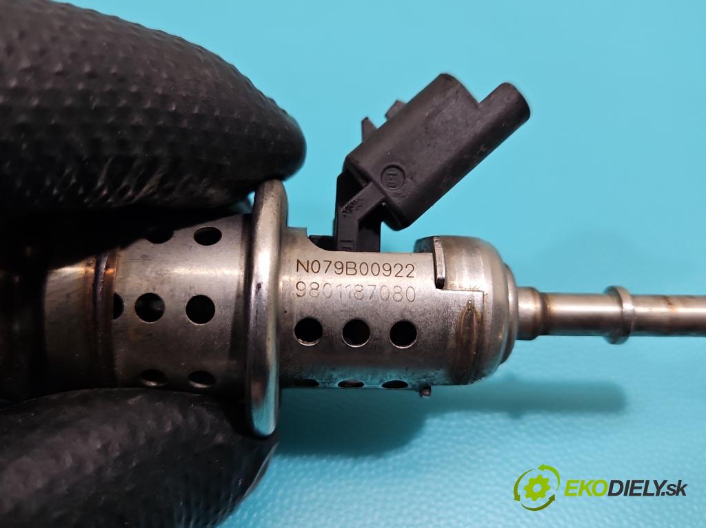 Citroen C4 Grand Picasso II 2013-2022 2.0 hdi 150 HP automatic 110 kW 1997 cm3 5- vstrek 9801187080 (Vstrekovač paliva)