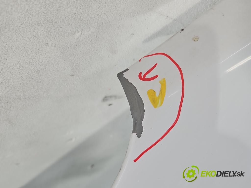 Dacia Dokker 2012- 1.6 8V 82 hp manual 60,5 kW 1598 cm3 5- blatnik přední levý  (Levý přední blatník)